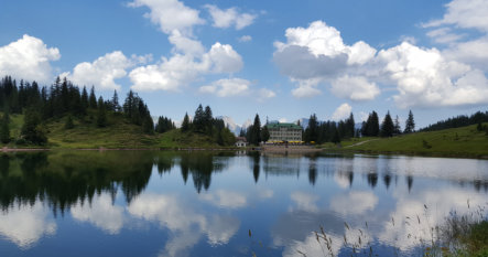 Natur pur rundum